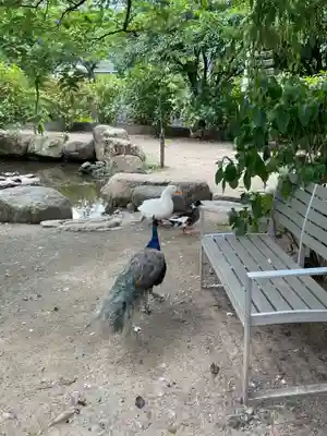 楽法寺（雨引観音）(茨城県)