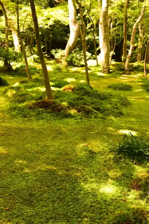 祇王寺(京都府)