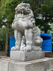 富良野神社の狛犬