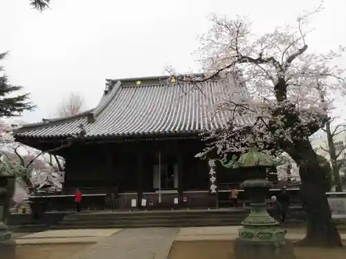 寛永寺(根本中堂)の本殿・本堂
