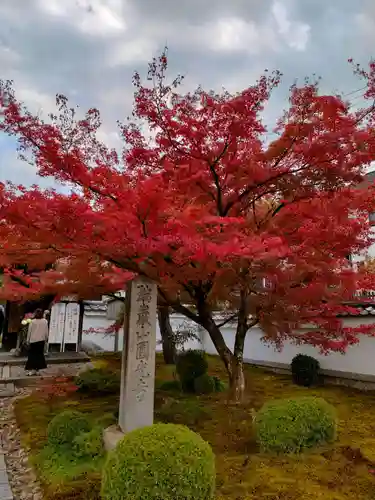 圓光寺の建物その他