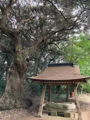 左右神社(千葉県)