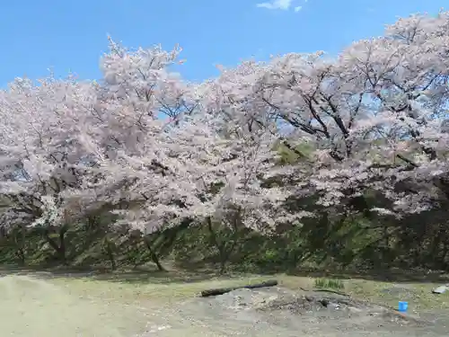 広厳院の自然