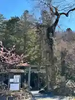 瀧川神社(静岡県)