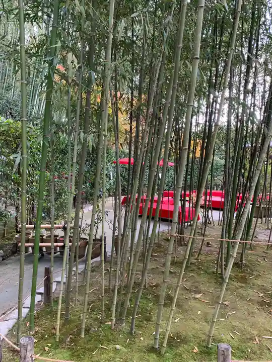 慈照寺(慈照禅寺・銀閣寺)の庭園