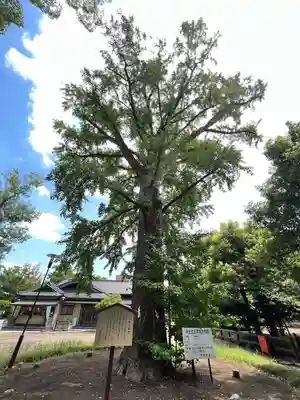 飯香岡八幡宮(千葉県)