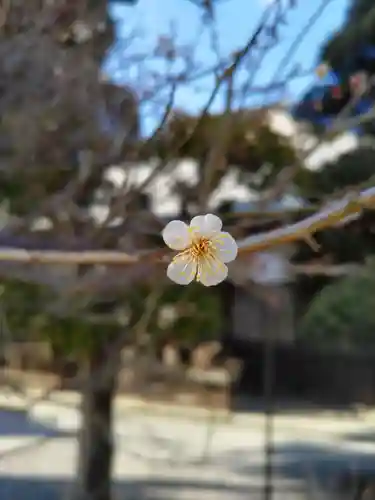 清泰寺の庭園