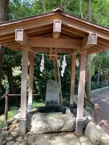 武蔵一宮氷川神社(埼玉県)