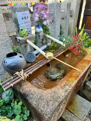 金札宮(京都府)