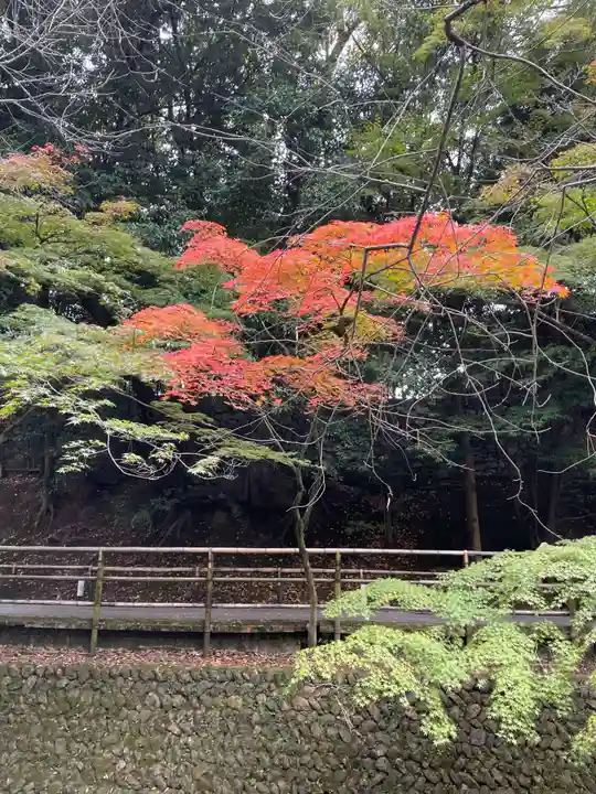 北野天満宮(京都府)