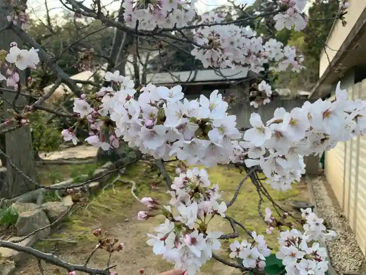 伊勢の国 四天王寺の自然