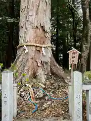 鴨都波神社(奈良県)