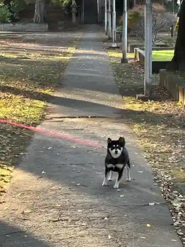 富士浅間神社の{uncategorized: "未分類", other: "その他", undefined: "問題あり", building: "その他建物", grave: "お墓", sacred_gate: "鳥居", guardian: "狛犬", statue: "像", buddha: "仏像", history: "歴史", nature: "自然", garden: "庭園", animal: "動物", pagoda: "塔", temizu: "手水舎", mountain_gate: "山門・神門", sanctuary: "本殿・本堂", subordinate: "末社・摂社", art: "芸術", scenery: "景色", jizo: "地蔵", ema: "絵馬", goshuin: "御朱印", omikuji: "おみくじ", items: "授与品その他", amulet: "お守り", goshuincho: "御朱印帳", eats: "食事", festival: "お祭り", votive_dance: "神楽", shichigosan: "七五三参", wedding: "結婚式", experience: "体験その他", initially: "初詣", around: "周辺", anti_infection: "感染症対策"}