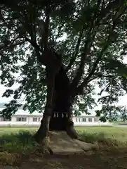 東福寺神社(長野県)