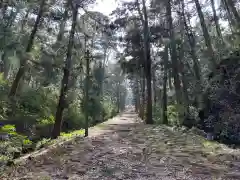 上一宮大粟神社(徳島県)