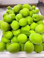 當光寺(東京都)