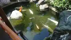 尾張猿田彦神社の庭園