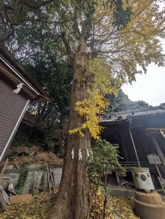 中里神社(神奈川県)