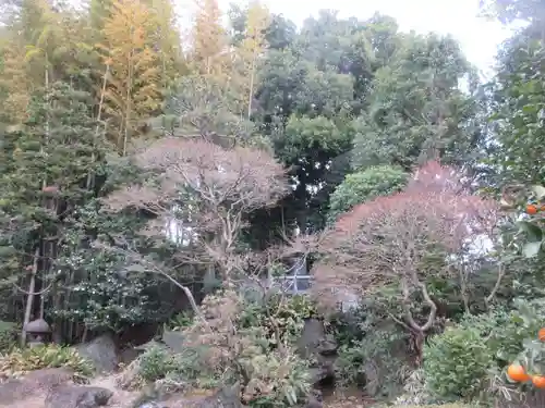 法真寺(東京都)