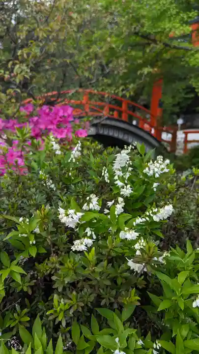 賀茂御祖神社(下鴨神社)(京都府)