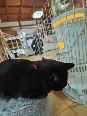 高司神社〜むすびの神の鎮まる社〜(福島県)