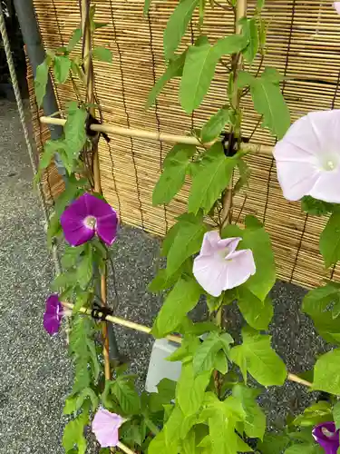 相模原氷川神社の庭園