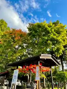 伊達神社のその他建物(2021年10月15日(金) 10時14分19秒投稿)