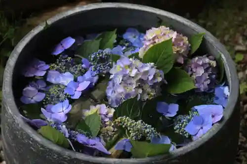 三春大神宮の手水