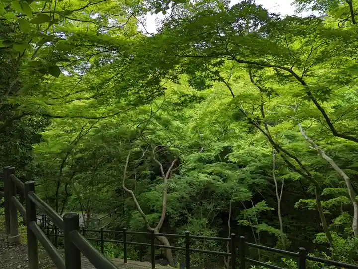 清水寺(京都府)