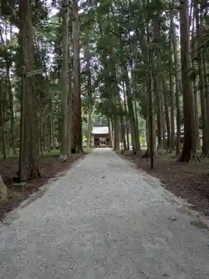 徳畑天神社(兵庫県)