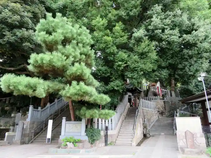 瀧泉寺(目黒不動尊)の自然