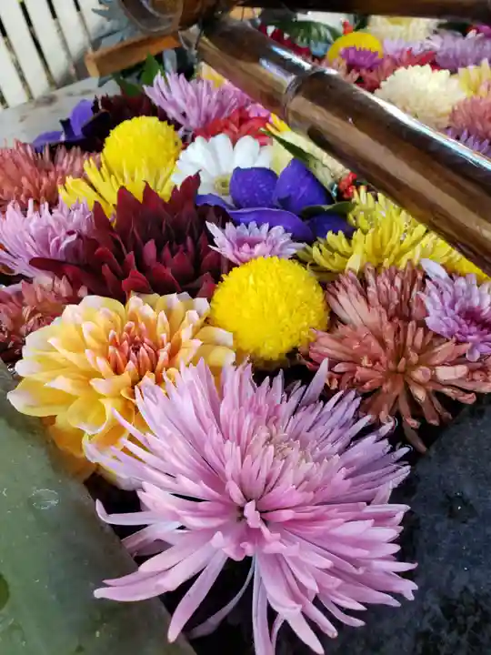 熊野神社の手水舎