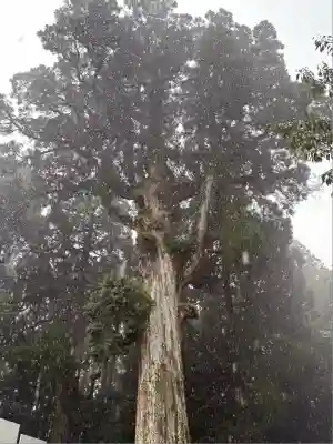 霧島神宮(鹿児島県)