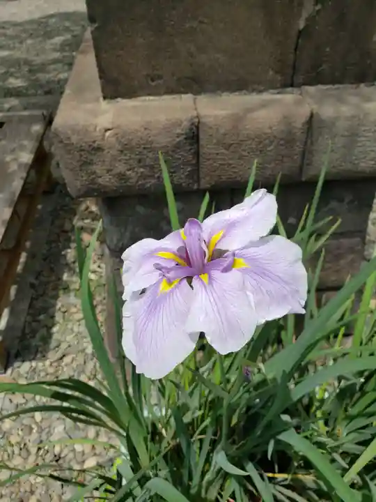 磐井神社(東京都)