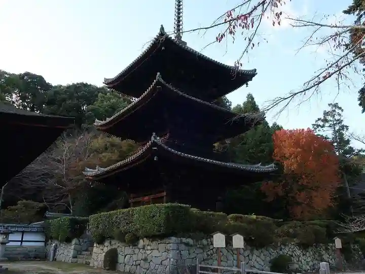 園城寺(三井寺)(滋賀県)