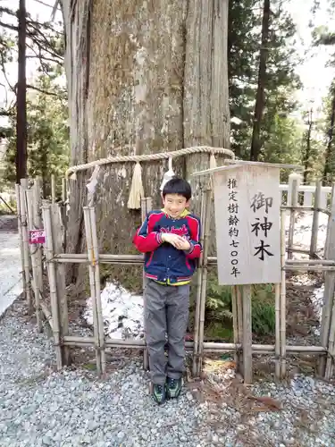 戸隠神社中社(長野県)