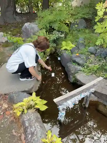 湊稲荷神社(新潟県)