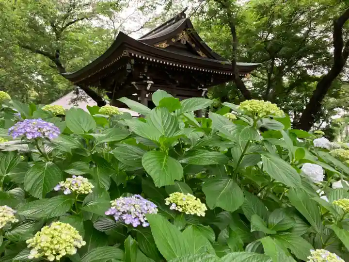 妙楽寺(神奈川県)