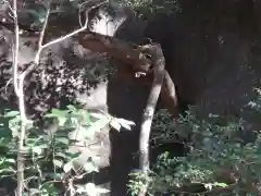 筑波山神社 女体山御本殿の自然