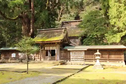 若狭姫神社（若狭彦神社下社）の本殿