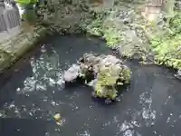 成田山新勝寺(千葉県)