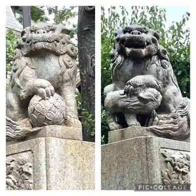 高円寺氷川神社の狛犬
