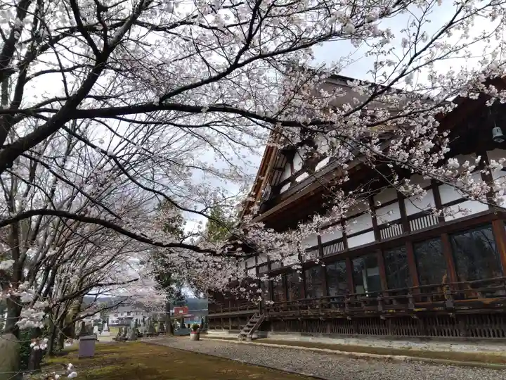 浄興寺(新潟県)