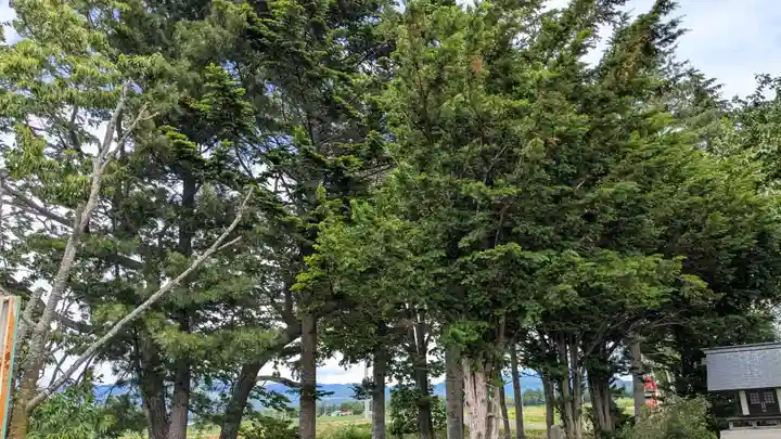 平和神社の自然
