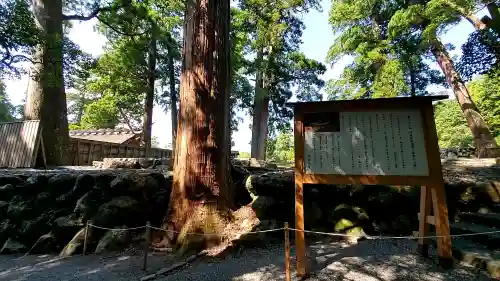 伊勢神宮内宮（皇大神宮）の{uncategorized: "未分類", other: "その他", undefined: "問題あり", building: "その他建物", grave: "お墓", sacred_gate: "鳥居", guardian: "狛犬", statue: "像", buddha: "仏像", history: "歴史", nature: "自然", garden: "庭園", animal: "動物", pagoda: "塔", temizu: "手水舎", mountain_gate: "山門・神門", sanctuary: "本殿・本堂", subordinate: "末社・摂社", art: "芸術", scenery: "景色", jizo: "地蔵", ema: "絵馬", goshuin: "御朱印", omikuji: "おみくじ", items: "授与品その他", amulet: "お守り", goshuincho: "御朱印帳", eats: "食事", festival: "お祭り", votive_dance: "神楽", shichigosan: "七五三参", wedding: "結婚式", experience: "体験その他", initially: "初詣", around: "周辺", anti_infection: "感染症対策"}
