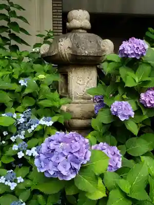 鳩森八幡神社のその他建物