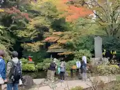 箱根神社の建物その他