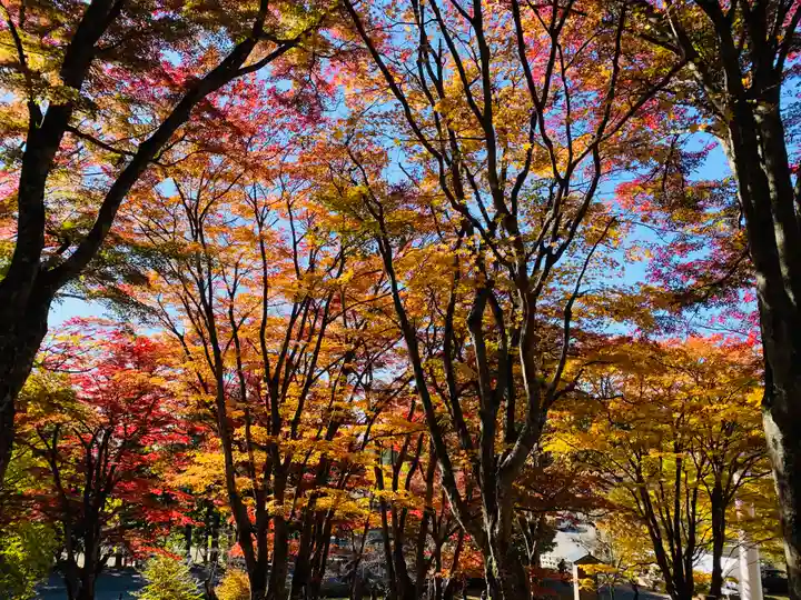土津神社|こどもと出世の神さまの自然