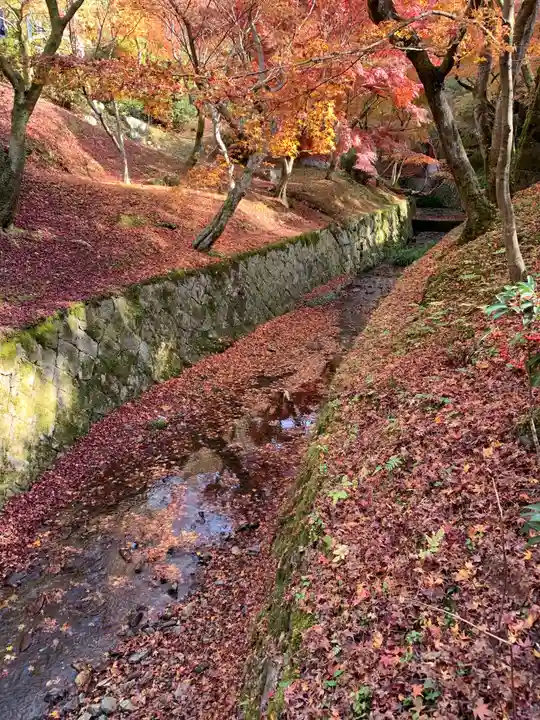 東福禅寺(東福寺)の周辺