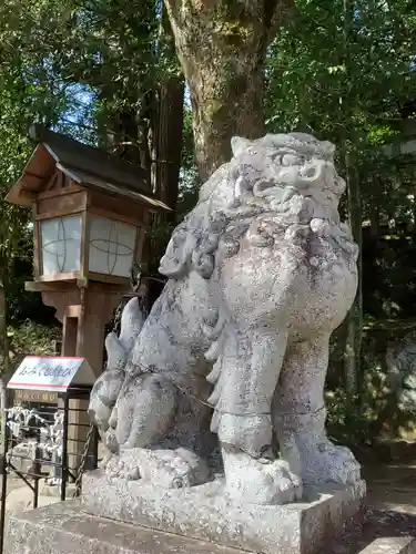 敢國神社の狛犬